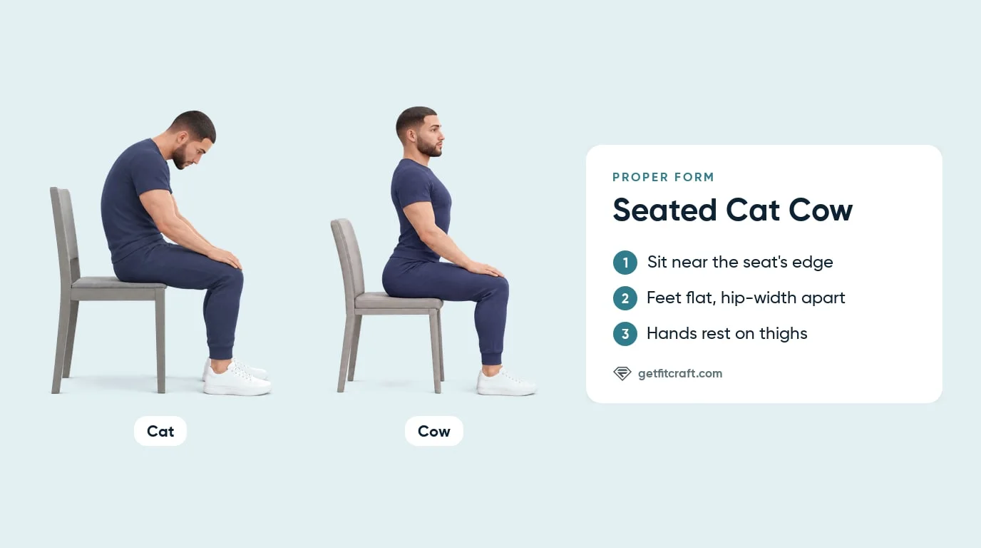 Seated cat cow proper form on a chair: cat with the back rounded and chin tucked, cow with the chest lifted in a gentle arch