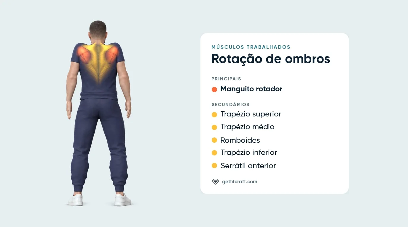 Músculos trabalhados na rotação de ombros, vista traseira: manguito rotador, trapézio, romboides e serrátil anterior