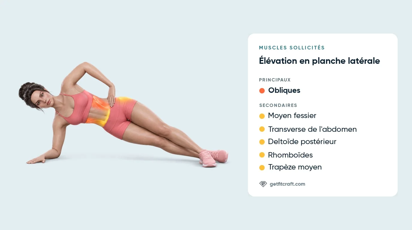 Élévation en planche latérale : obliques, moyen fessier, transverse de l'abdomen, deltoïde postérieur, rhomboïdes