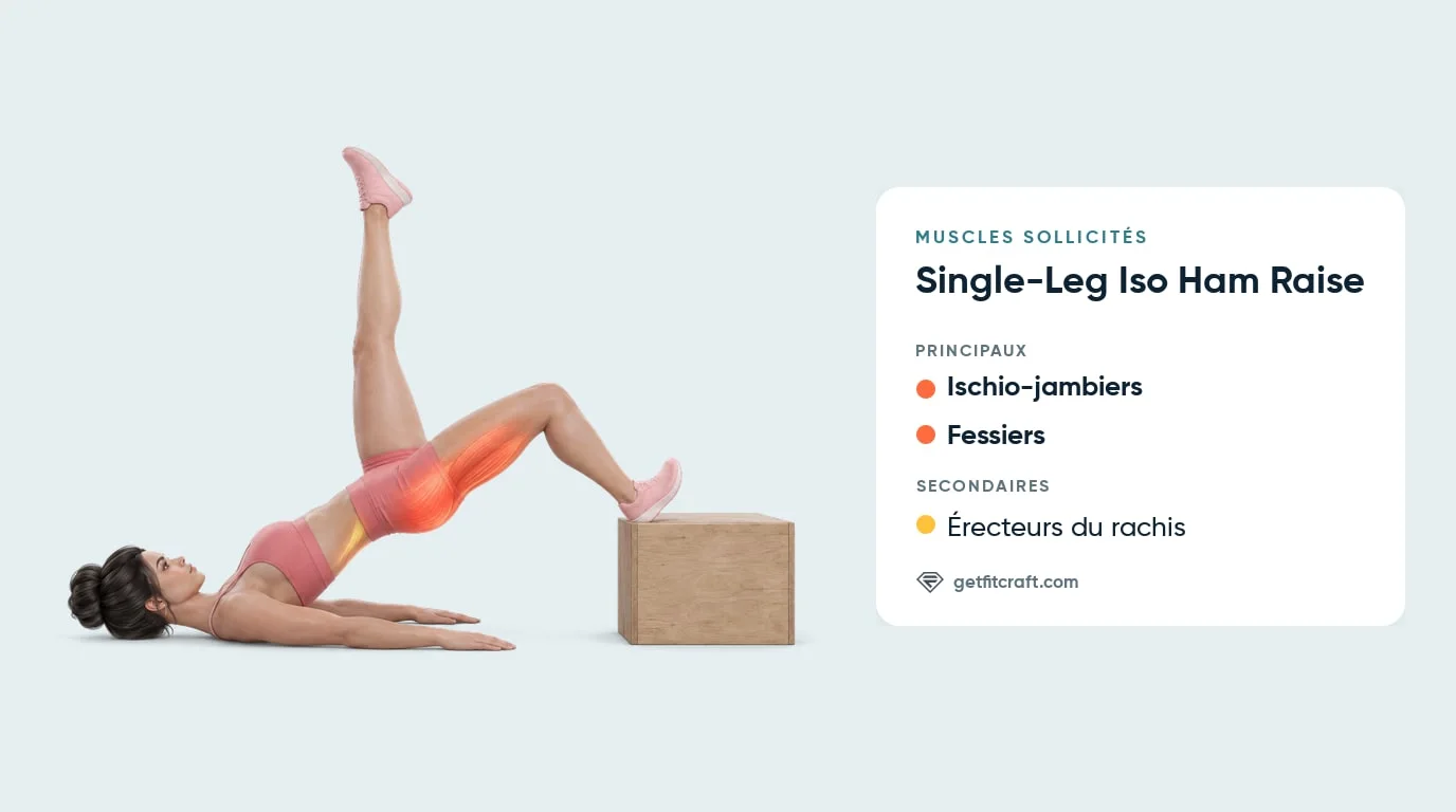 Muscles du single-leg iso ham raise : ischio-jambiers et fessiers de la jambe sur la caisse en évidence, érecteurs du rachis