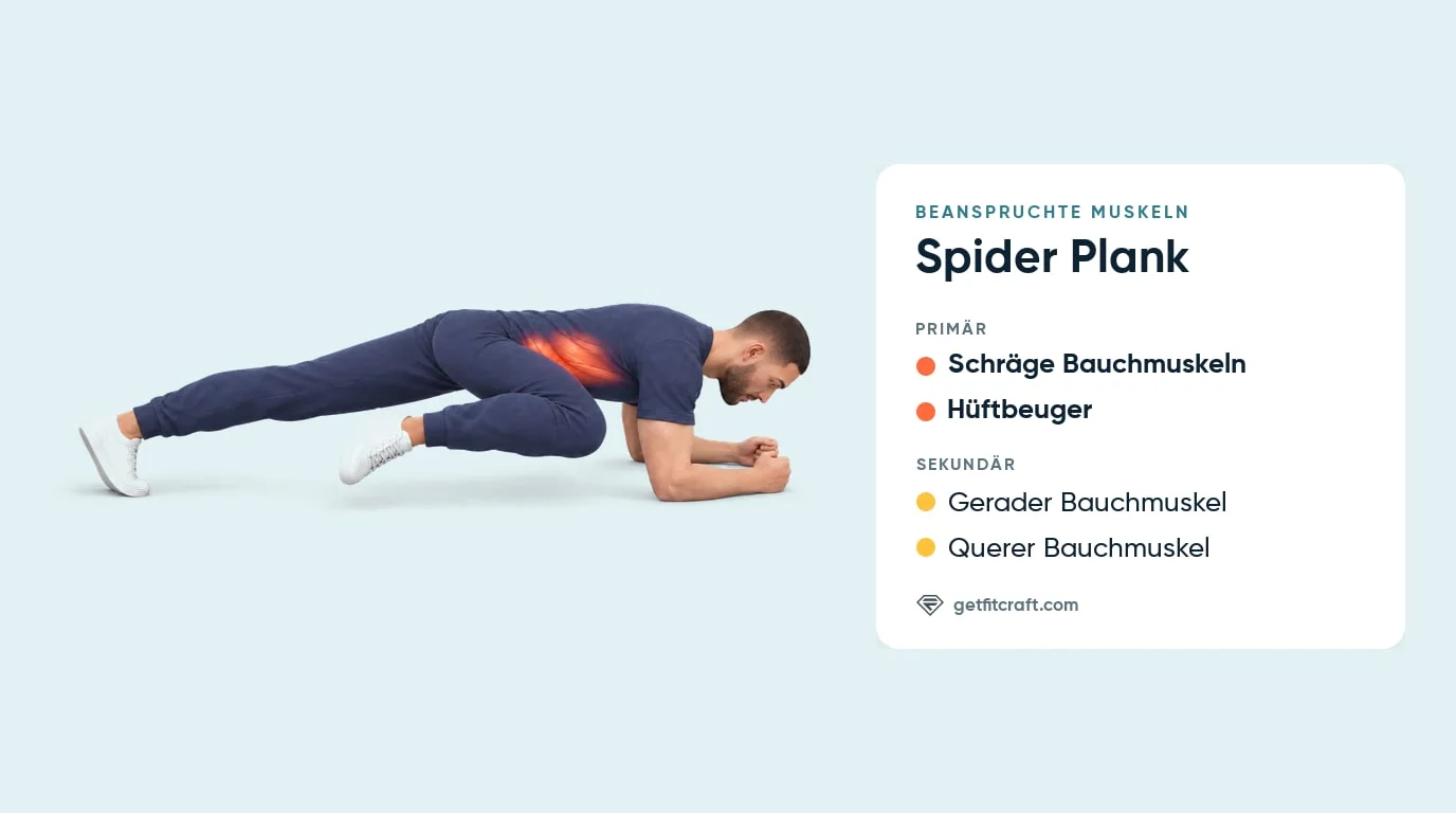 Spider Plank, Muskeln: schräge Bauchmuskeln an der Taille, Hüftbeuger auch primär, gerader und querer Bauchmuskel als Helfer