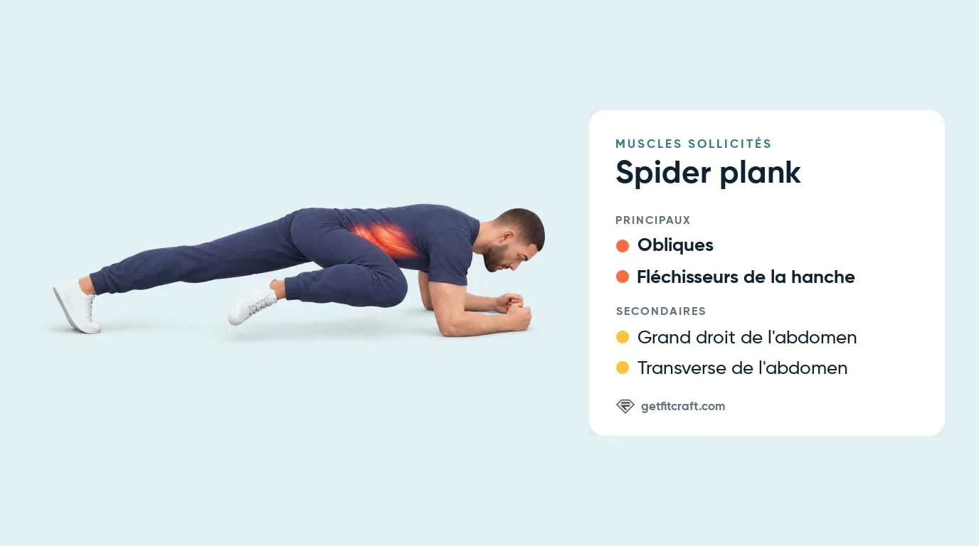 Spider plank muscles sollicités : obliques et fléchisseurs de la hanche, aidés du grand droit et du transverse de l'abdomen