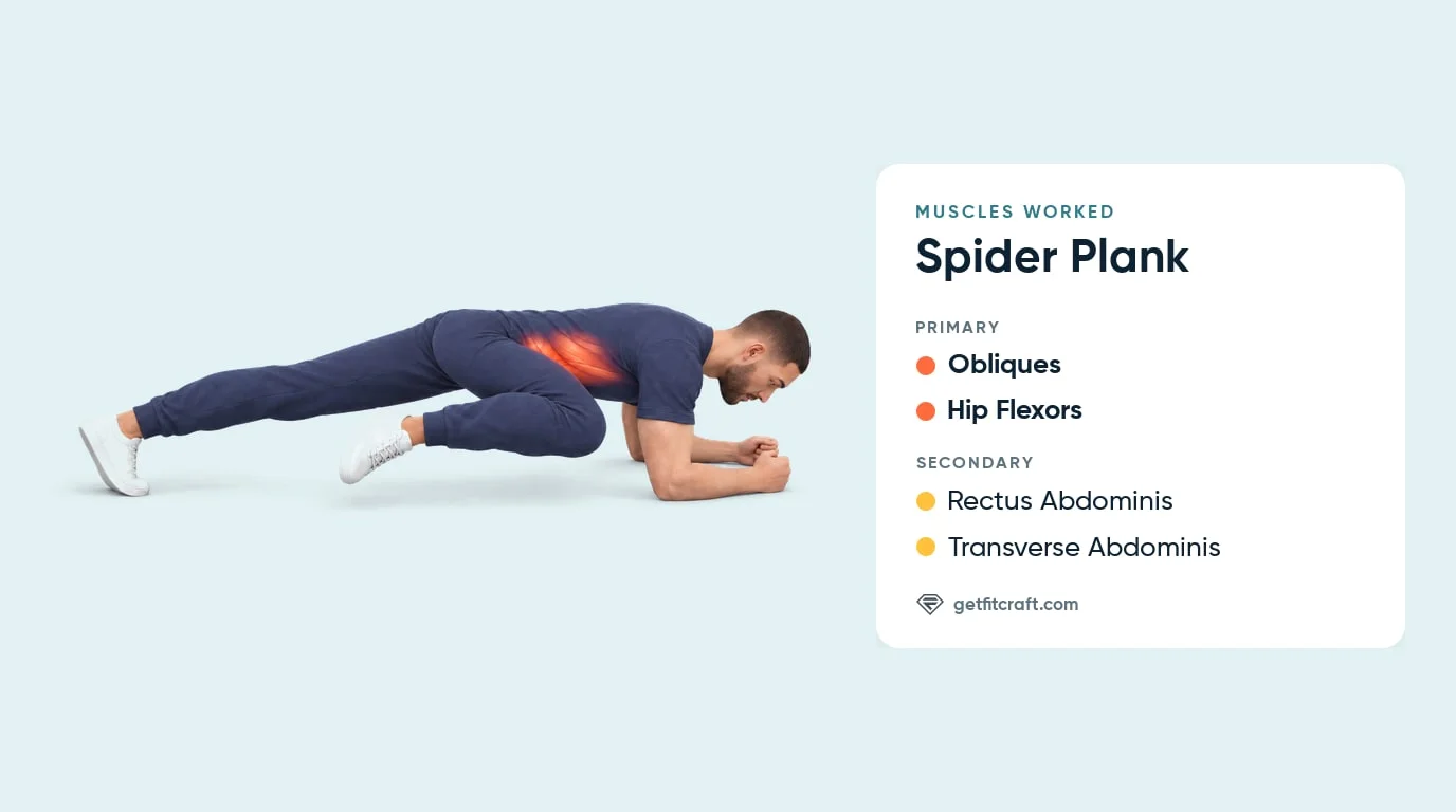 Spiderman plank muscles worked: obliques glow at the waist; hip flexors also primary, rectus and transverse abdominis help