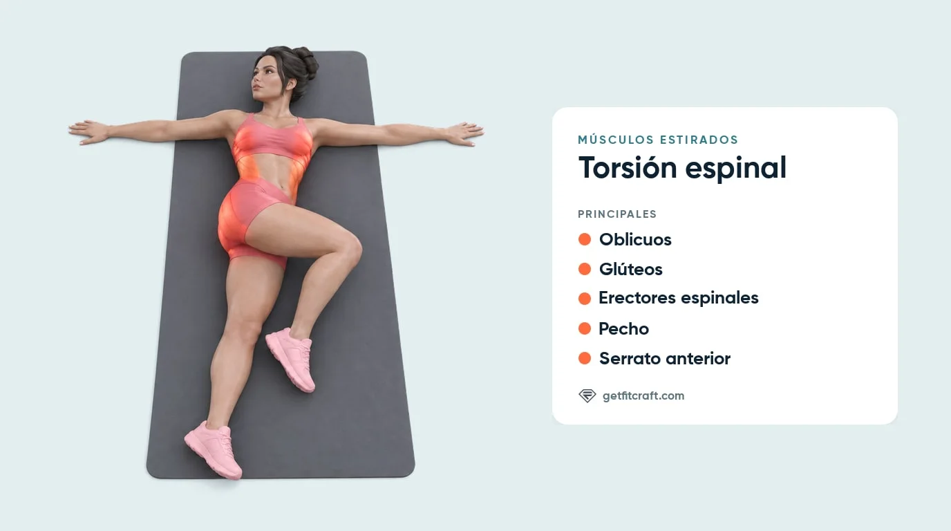 Músculos estirados en la torsión espinal: oblicuos, glúteos, erectores espinales, pecho y serrato anterior resaltados