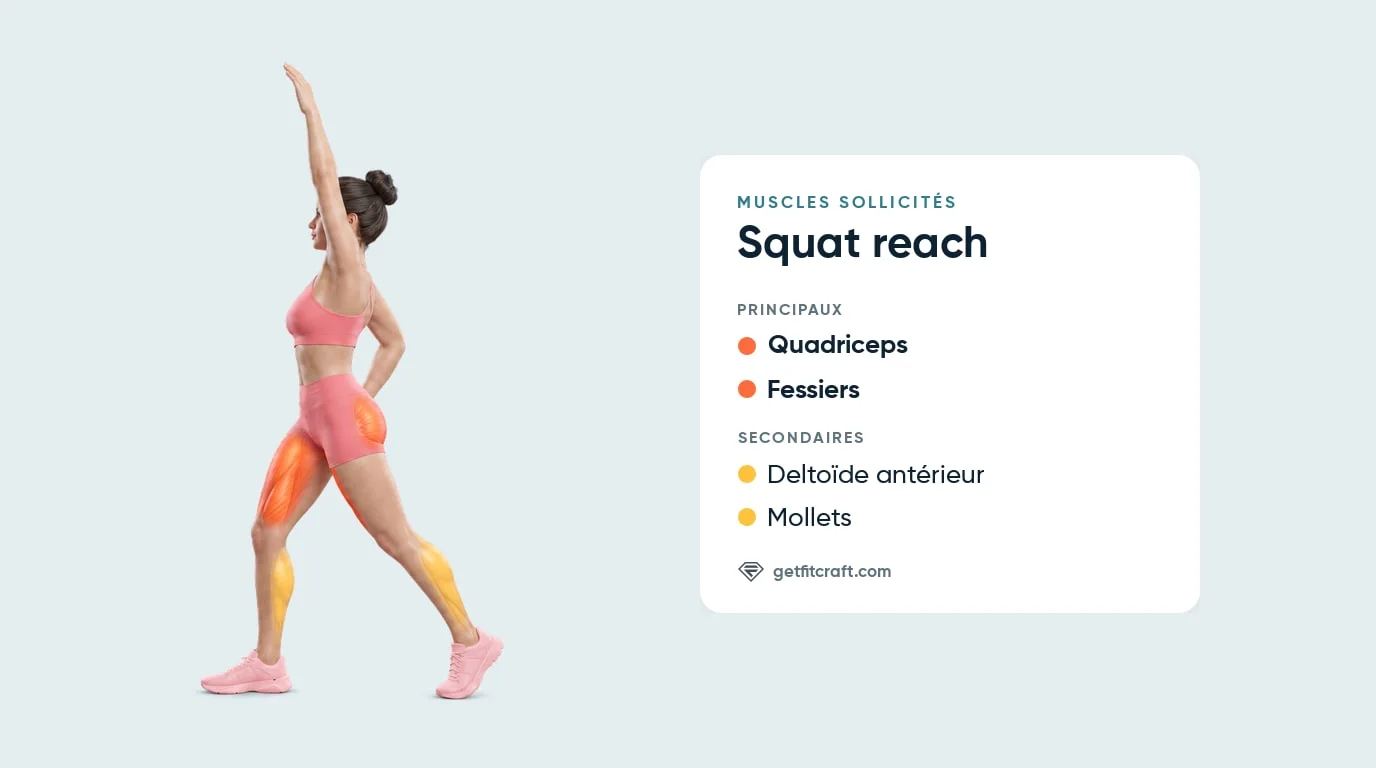 Squat reach, muscles sollicités : quadriceps et fessiers en évidence, deltoïdes antérieurs et mollets en renfort