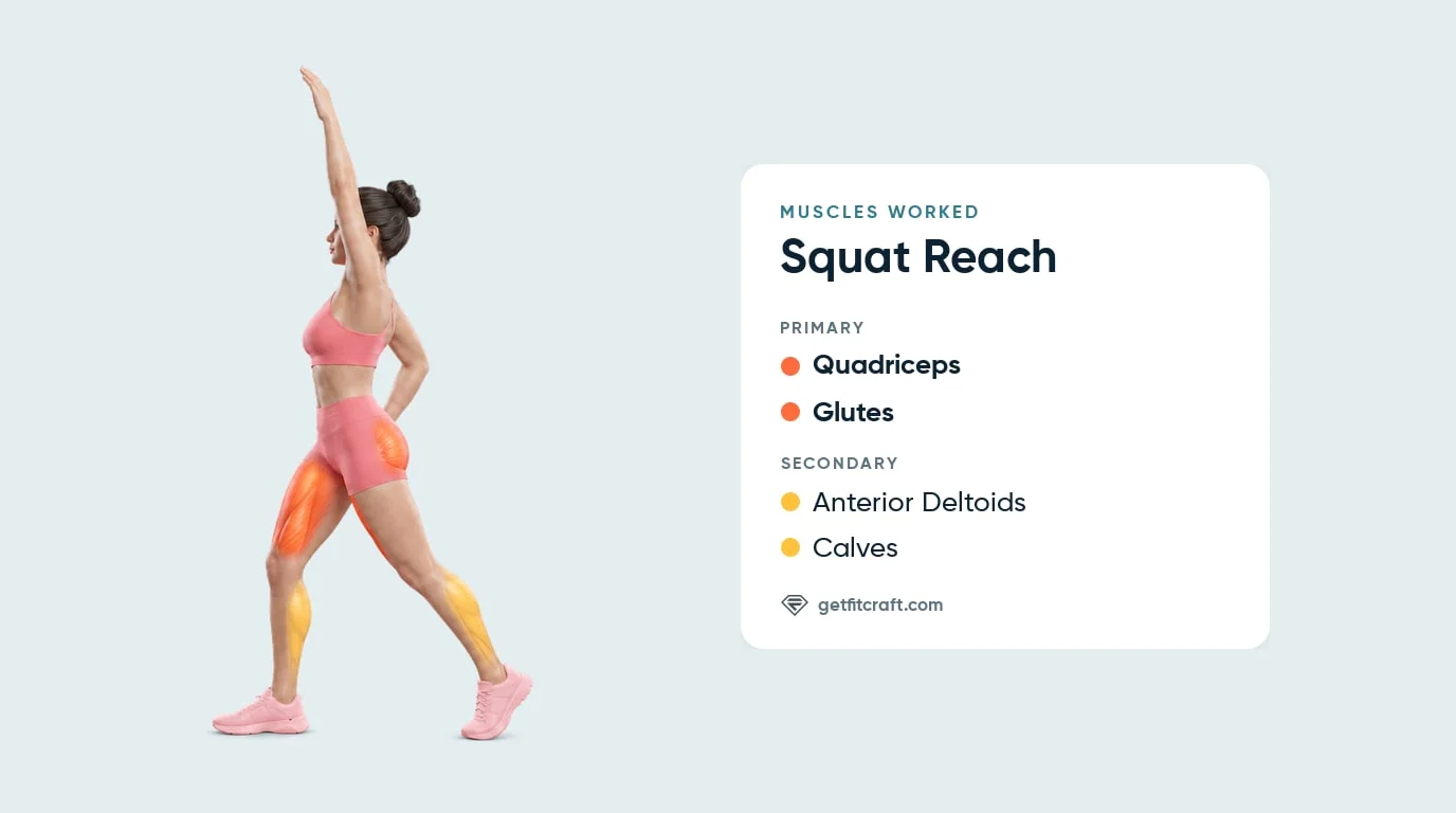 Squat reach muscles worked: quads and glutes highlighted, front delts and calves helping, woman turned with one arm overhead