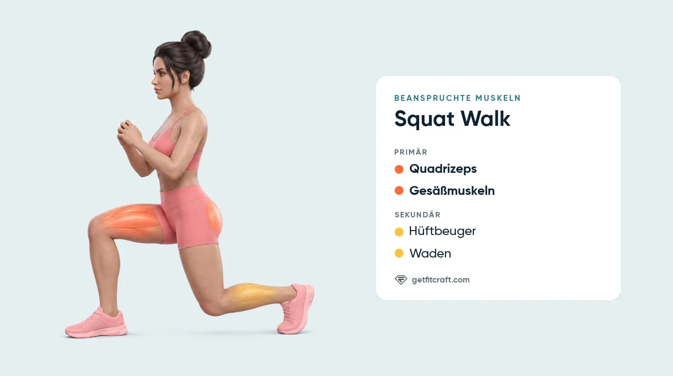 Squat Walk, beanspruchte Muskeln: Quadrizeps und Gesäßmuskeln hervorgehoben, Waden und Hüftbeuger als Helfer