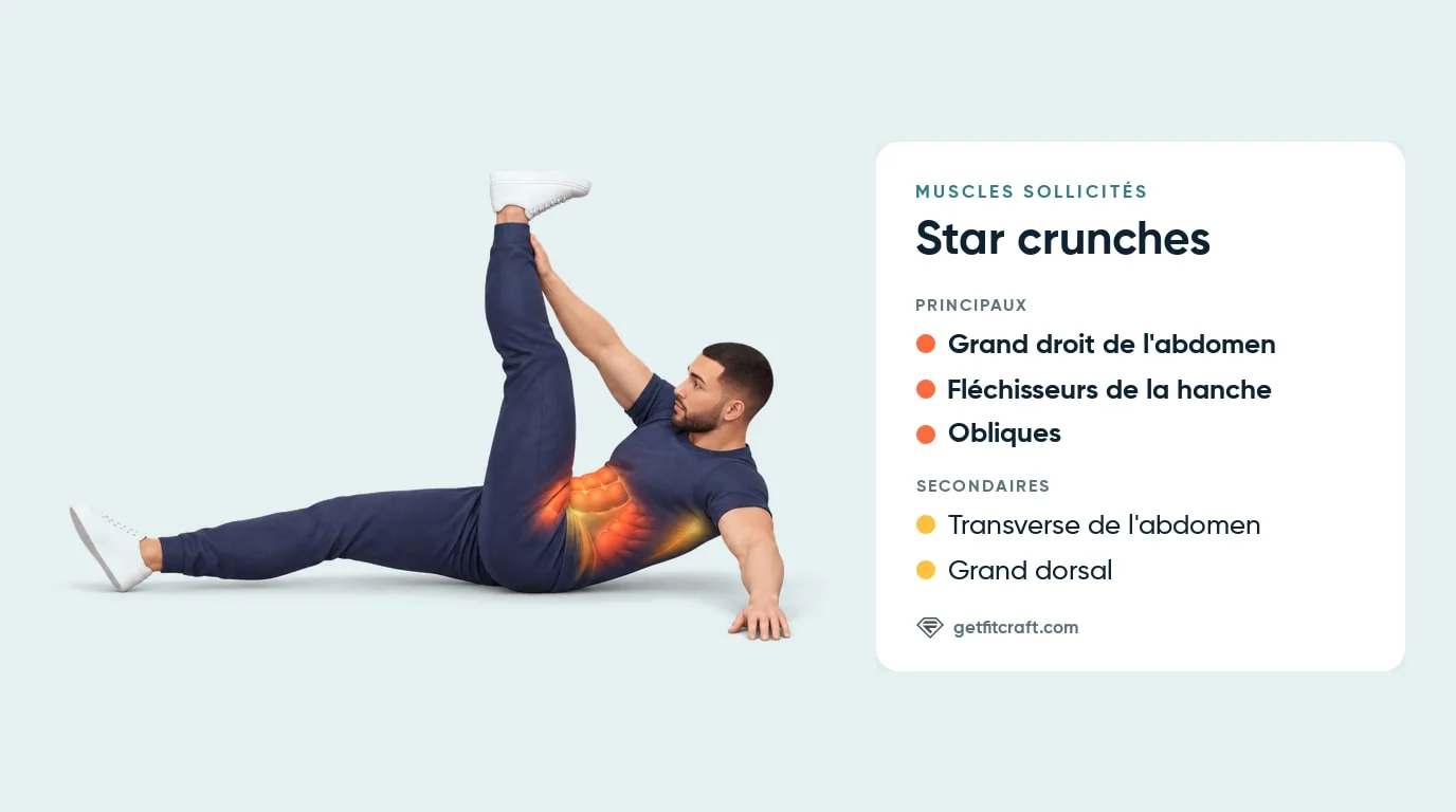 Muscles des star crunches : grand droit de l'abdomen, fléchisseurs de la hanche, obliques, transverse et grand dorsal