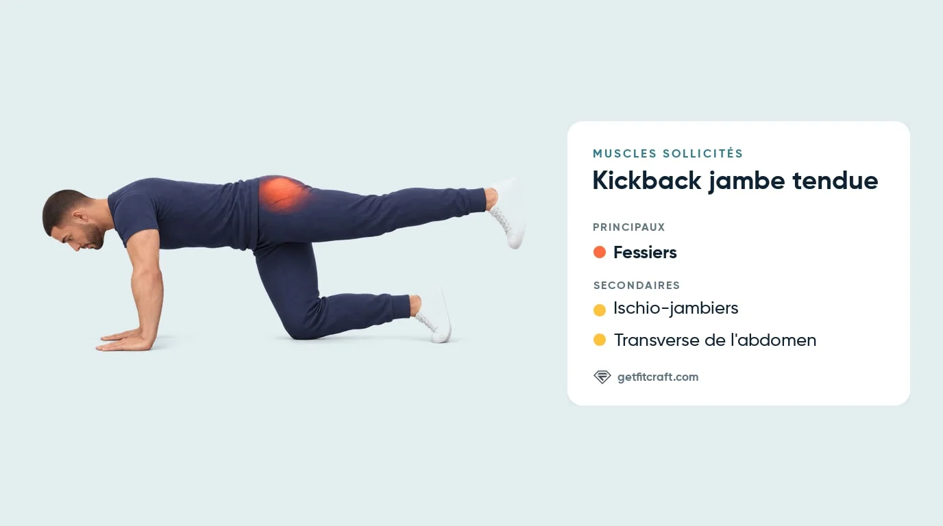 Kickback jambe tendue, muscles : fessiers sur la jambe levée, ischio-jambiers et transverse de l'abdomen en renfort
