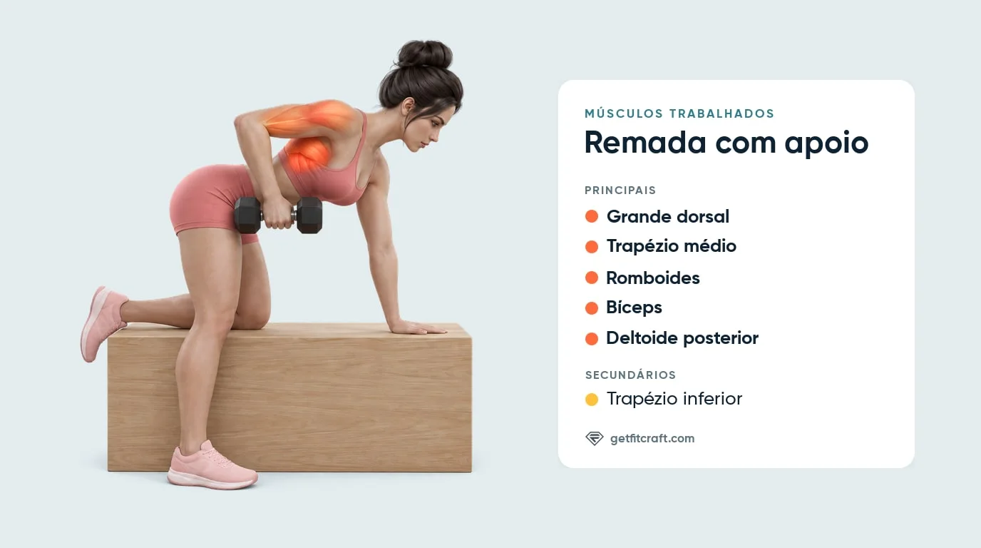 Músculos da remada com apoio: grande dorsal, trapézio médio, romboides, bíceps, deltoide posterior; ajuda o trapézio inferior