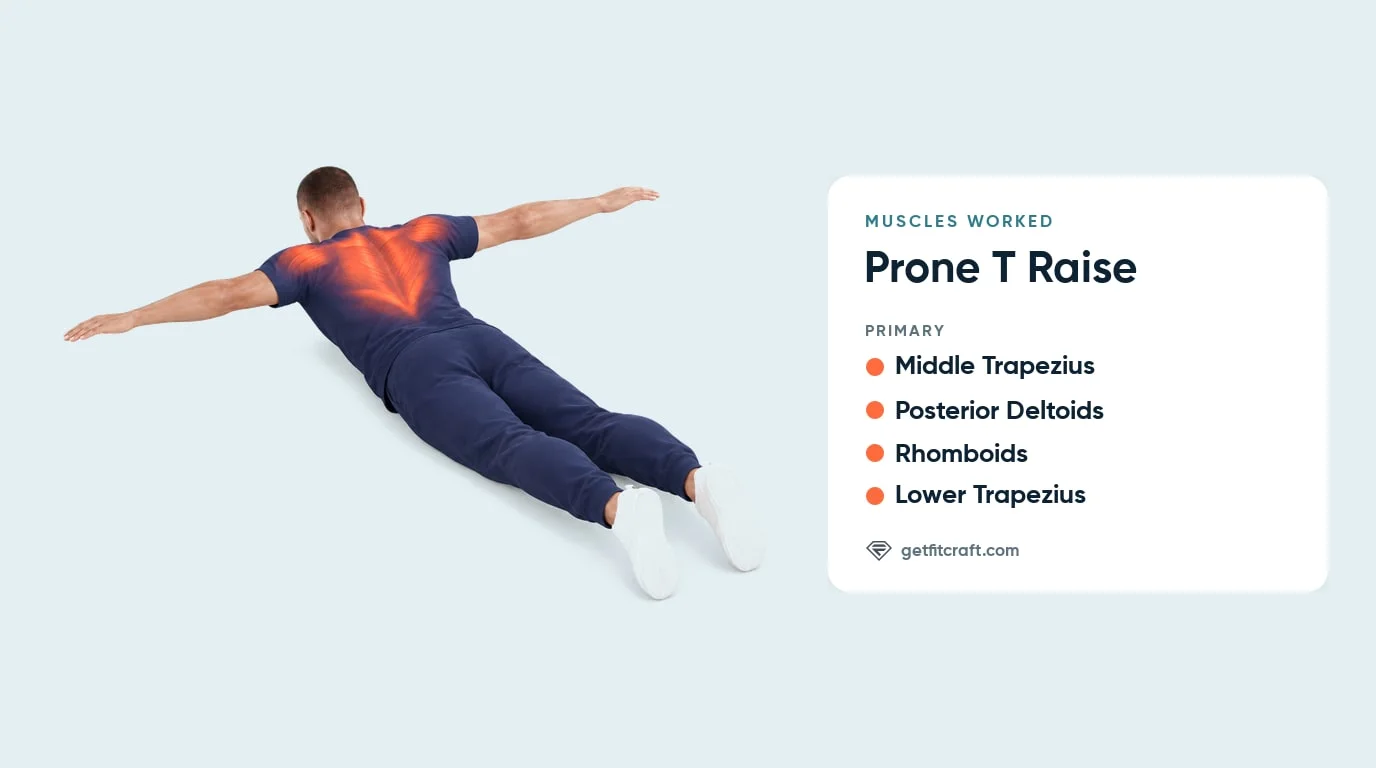 Prone T raise muscles worked: middle and lower trapezius, rear delts and rhomboids highlighted, lying face down in a T