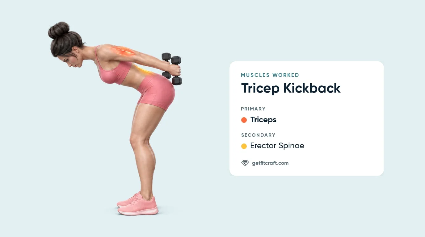 Tricep kickbacks muscles worked: triceps highlighted as primary and erector spinae on the lower back as secondary, side view