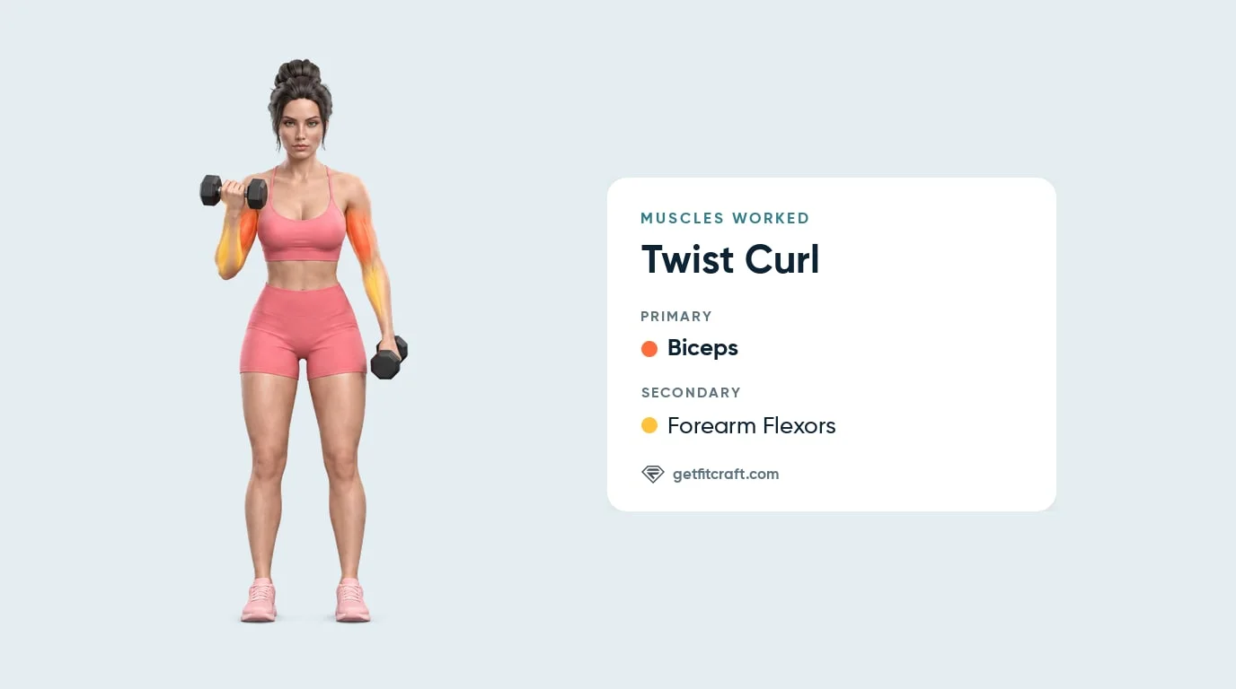 Dumbbell twist curl muscles worked: biceps highlighted, forearm flexors helping, one dumbbell curled near the shoulder