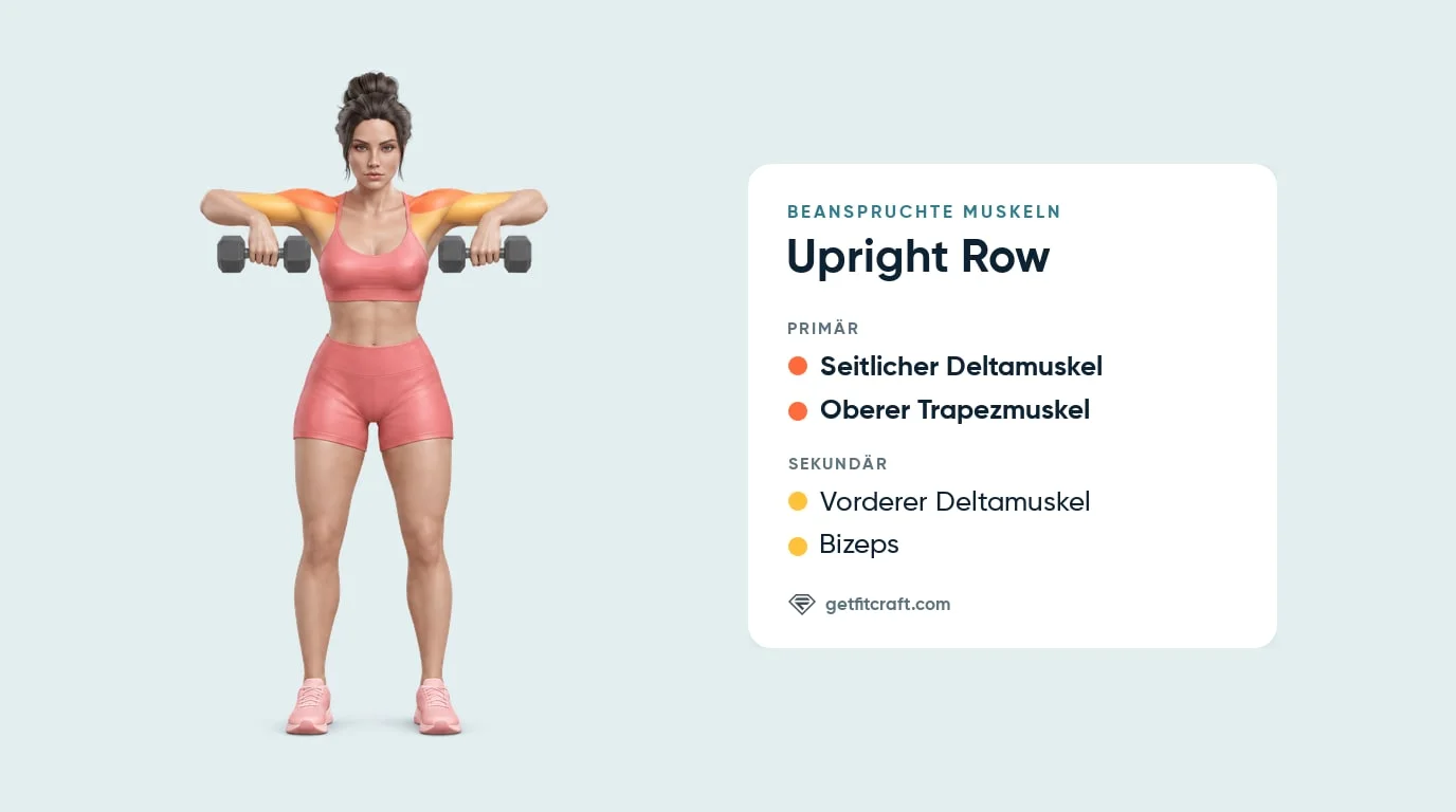 Upright Row, beanspruchte Muskeln: seitliche Deltamuskeln und oberer Trapezmuskel, dazu vordere Deltamuskeln und Bizeps