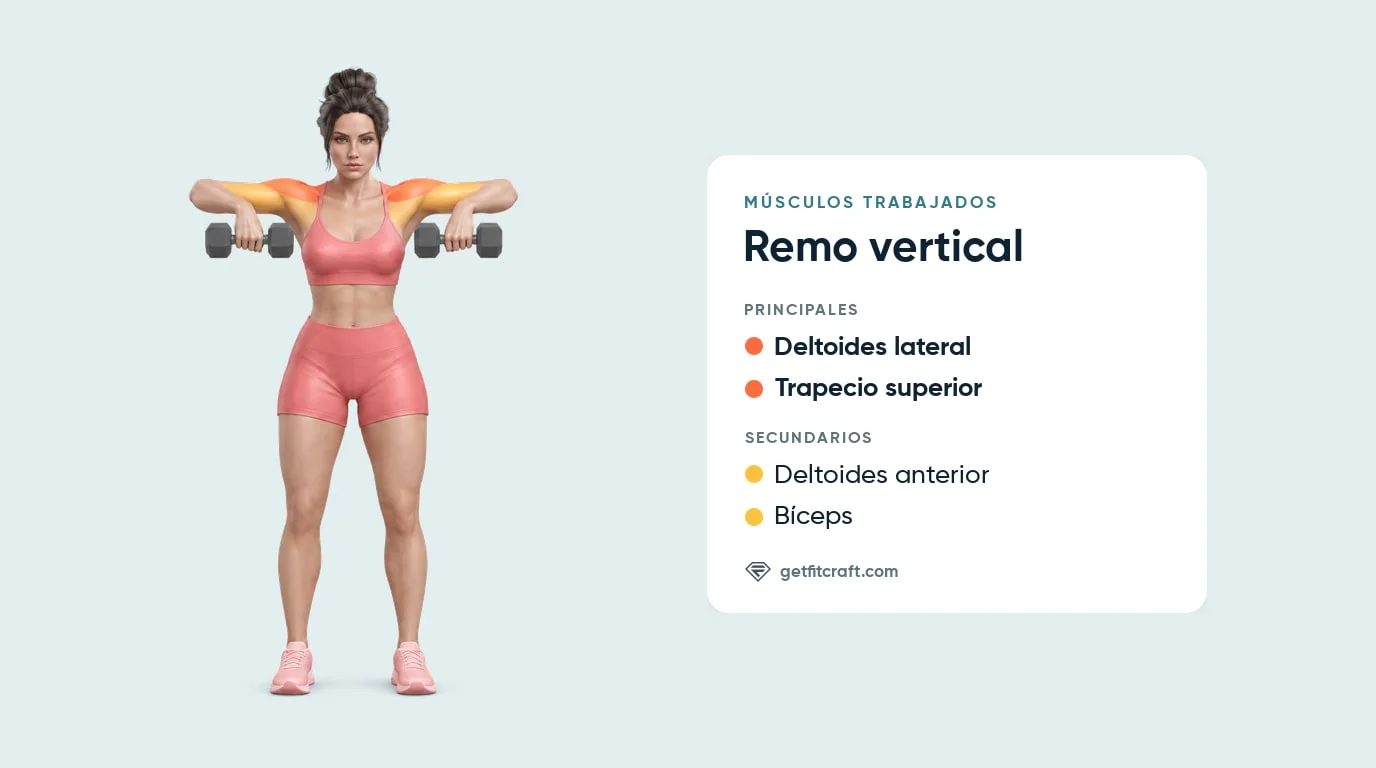 Remo vertical, músculos trabajados: deltoides laterales y trapecio superior, con deltoides anteriores y bíceps de apoyo