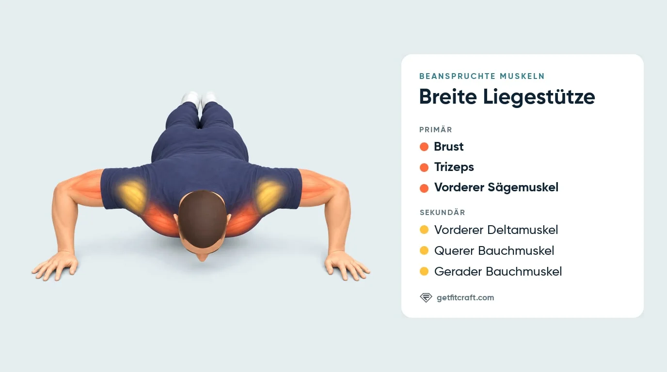 Breite Liegestütze, Muskeln, Vorderansicht unten: Brust, Trizeps, vorderer Sägemuskel, vorderer Deltamuskel und Bauch