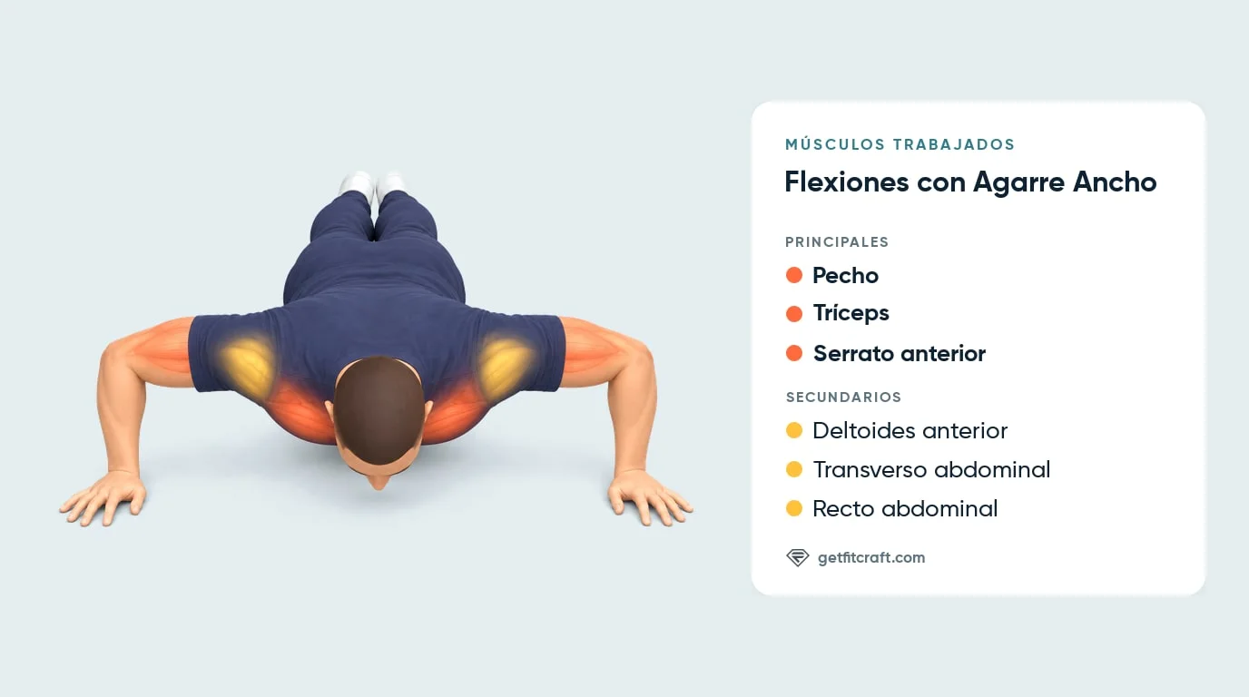 Flexiones con agarre ancho, músculos, vista frontal abajo: pecho, tríceps, serrato anterior, deltoides anterior y abdomen