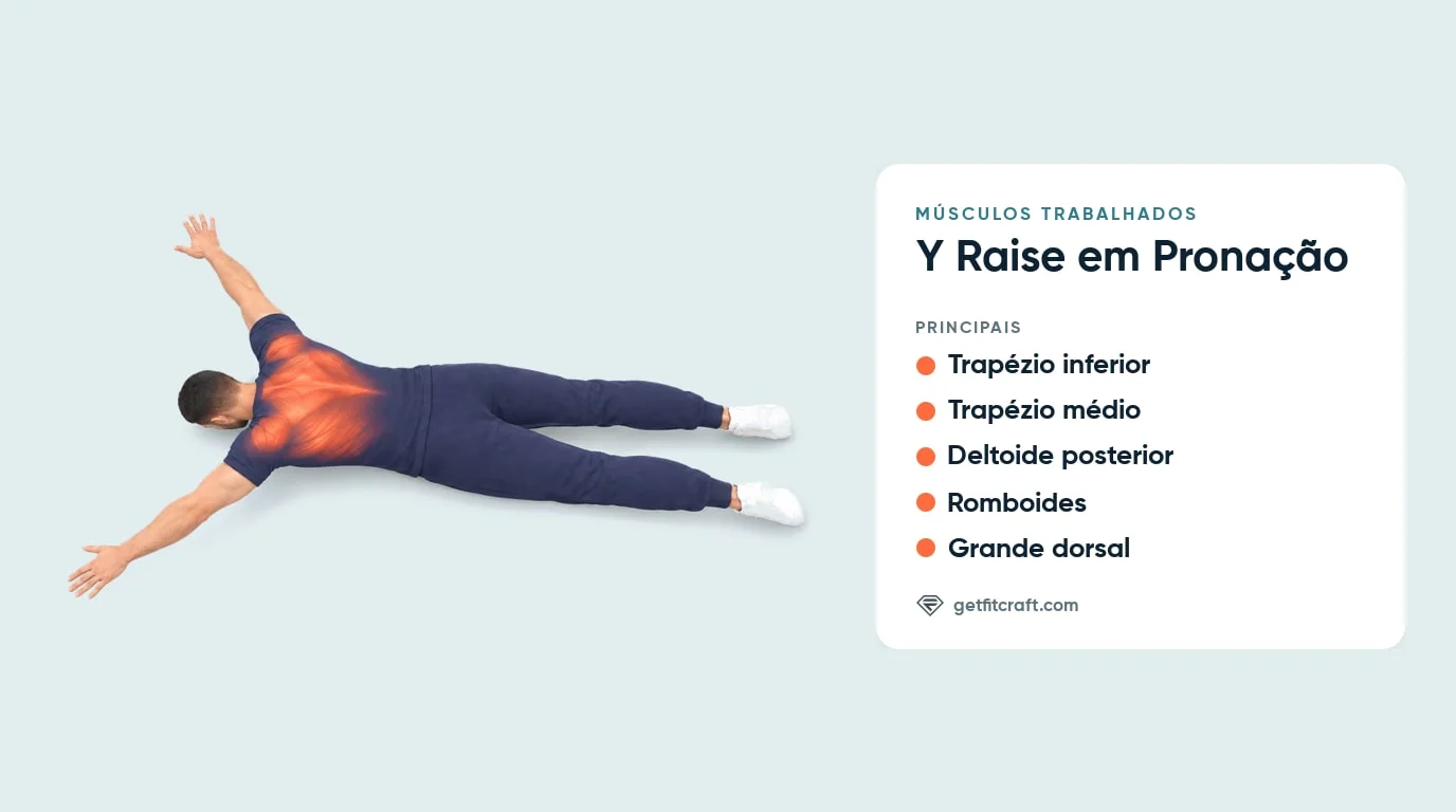 Y raise em pronação, músculos trabalhados: trapézios inferior e médio, deltoides posteriores, romboides e grande dorsal em destaque