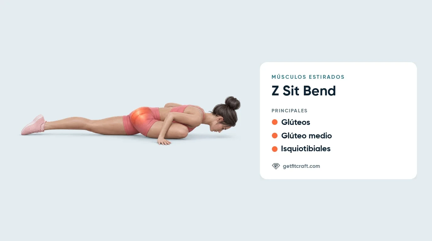 Músculos estirados en el Z sit bend: glúteos y glúteo medio resaltados en la cadera delantera, más isquiotibiales