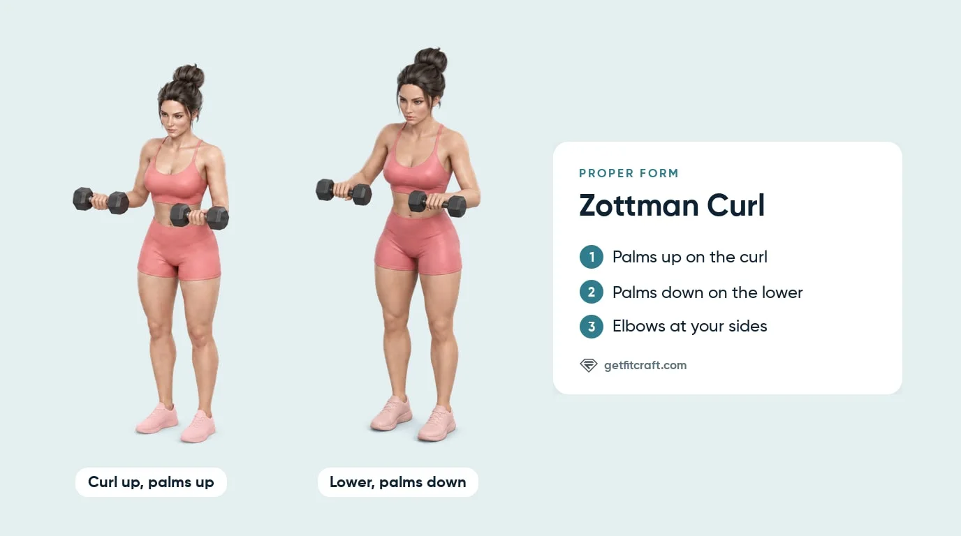 Zottman curl proper form in two phases: curl up with palms up, then lower with palms down, elbows staying at the sides