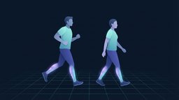 A beginner alternating an easy jog with a walking break on a park path, with the calves and shins glowing to show the tissues that carry the impact load