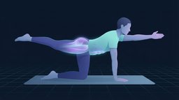A person on hands and knees extending the opposite arm and leg in a bird dog, with the muscles along the lower back, the glutes and the deep abdominal wall lit up