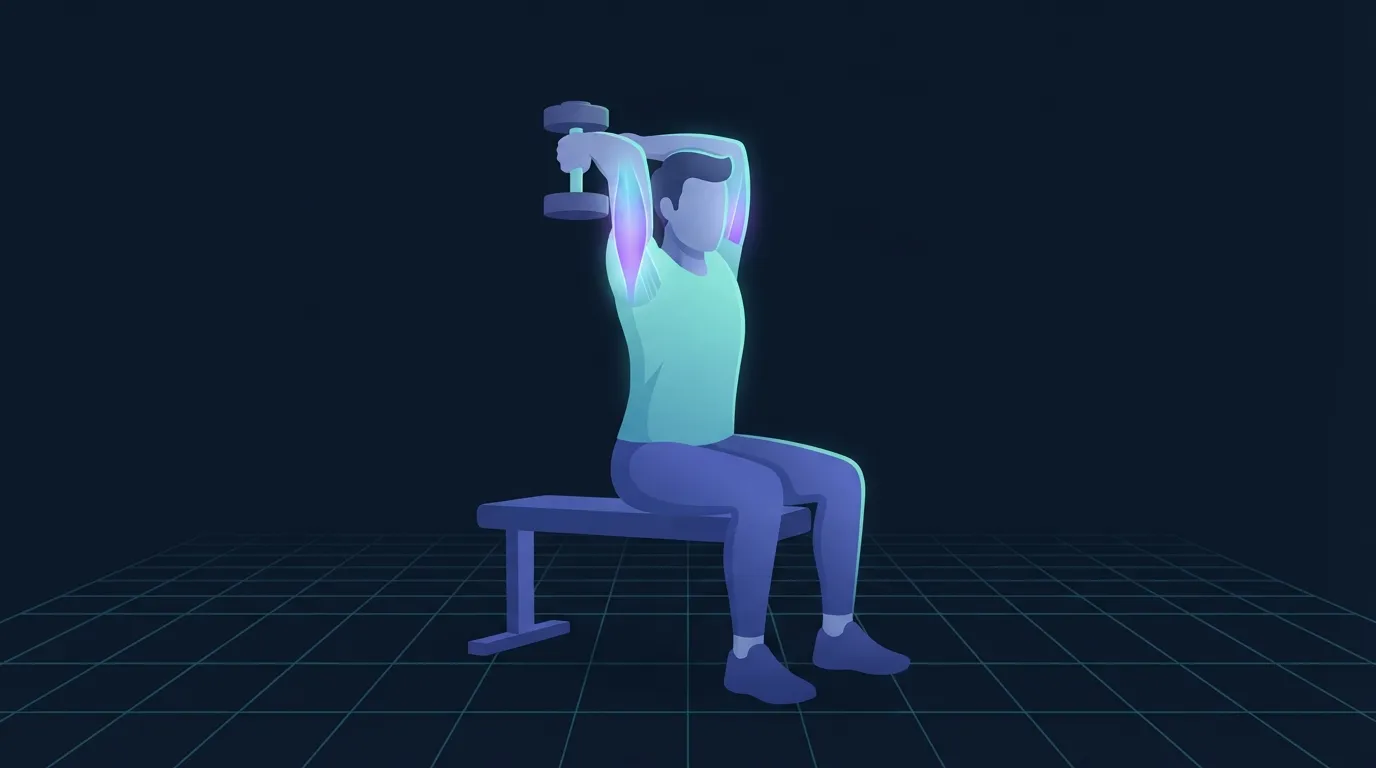 Un pratiquant assis effectuant une extension triceps aux haltères au-dessus de la tête, avec le long chef du triceps légèrement lumineux à l'arrière du bras