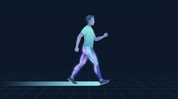 A walker mid-stride with the calves, quadriceps and glutes lit up and a trail of light on the floor behind them showing the distance already covered