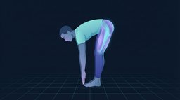 A person folded forward from the hips with straight knees, fingertips reaching down past the shins, the hamstrings and glutes lit up as the tissues that decide how far the reach goes