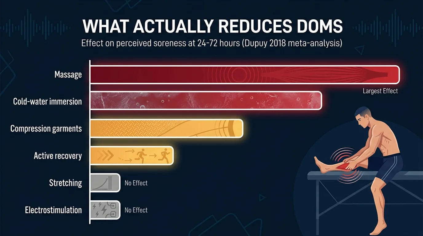 Editorial infographic comparing DOMS recovery techniques showing massage and cold water immersion as most effective followed by compression and active recovery with stretching and electrostimulation having minimal effect