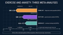 Exercise and Anxiety: What the Research Actually Shows