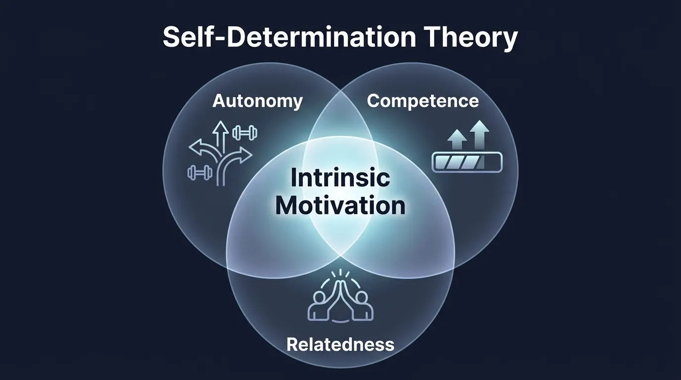 Self-Determination Theory Venn diagram showing autonomy, competence, and relatedness overlapping to create intrinsic motivation for sustained fitness behavior