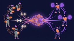 Do Light Weights Build Muscle? The Research