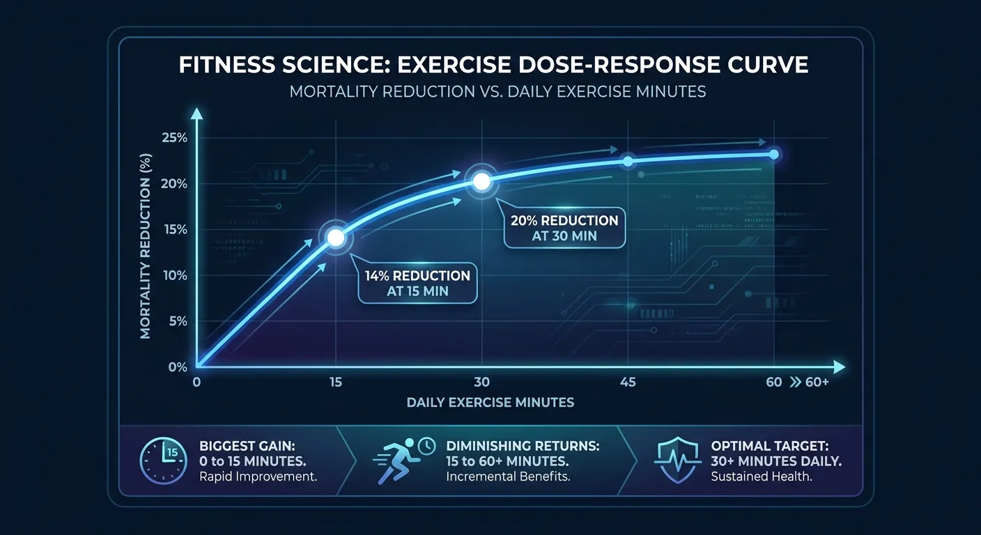 Courbe dose-réponse montrant la réduction de la mortalité en fonction des minutes d'exercice quotidien avec les plus grands gains entre 0 et 15 minutes puis s'aplatissant progressivement vers 45 à 60 minutes