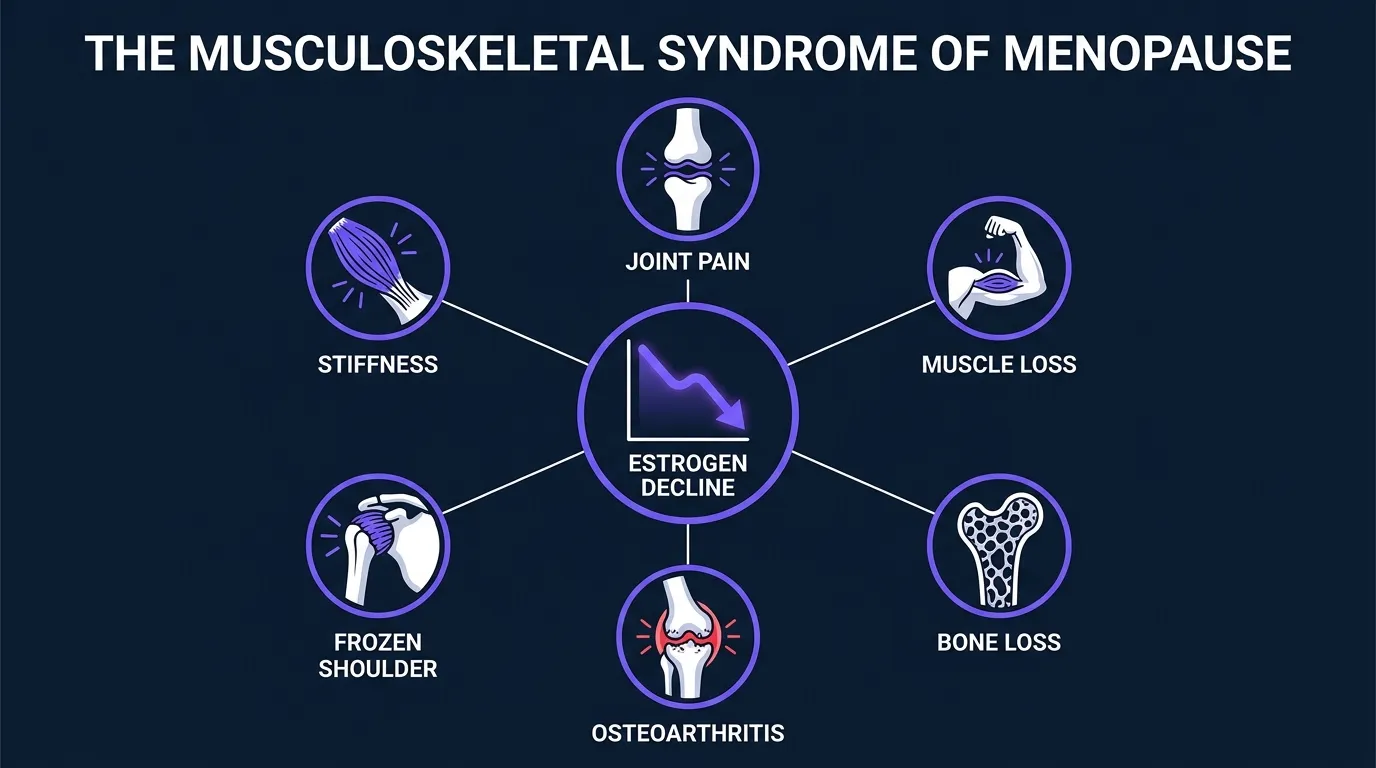 Illustration showing the cluster of musculoskeletal symptoms of menopause including joint pain, muscle loss, bone density loss, and osteoarthritis progression connected by declining estrogen