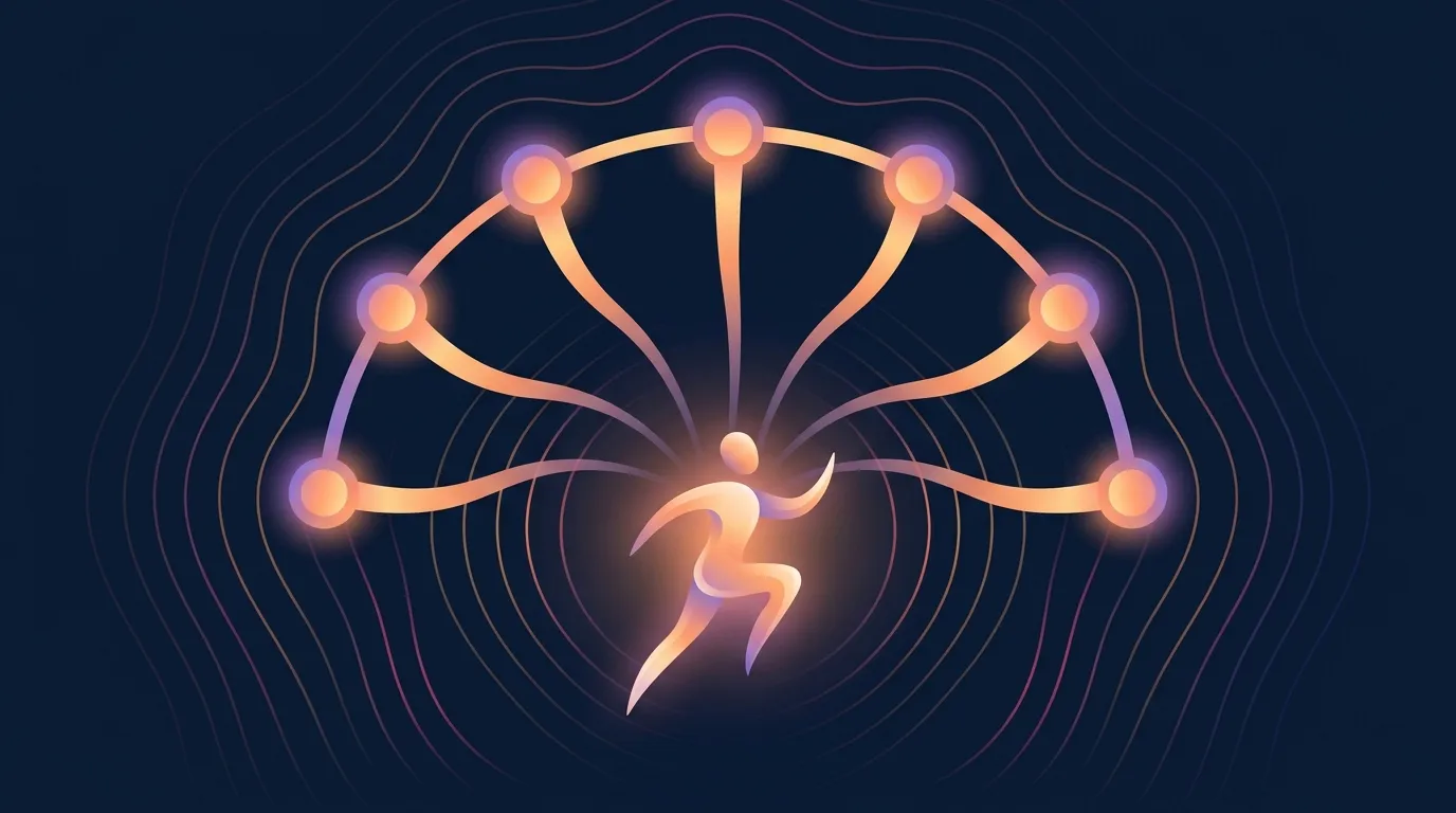 Conceptual illustration showing practical implications of myokine research: consistent muscle contraction across the week producing systemic signaling to brain, adipose, bone, and liver