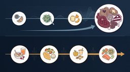 Protein Distribution Across Meals: What the Research Shows