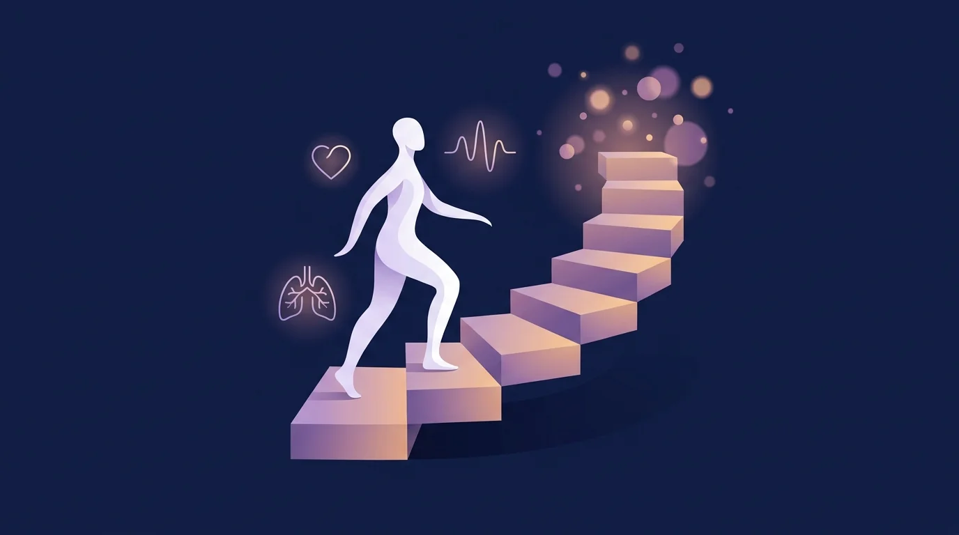 Conceptual illustration of a figure climbing a flight of stairs surrounded by physiological highlights showing the cardiovascular and metabolic systems engaged by stair ascent