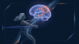 Strength Training and the Alzheimer's Brain