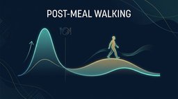Walking After Meals: What the Research Shows on Glucose