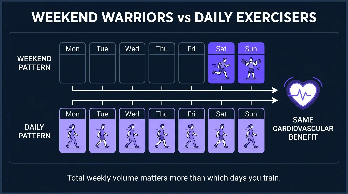 Conceptual illustration of weekend warrior versus daily exercise patterns showing comparable cardiovascular benefit at equal weekly volume