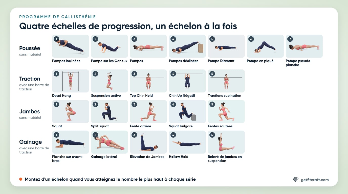 Schéma du programme de callisthénie : quatre échelles de progression, la poussée des pompes inclinées aux pompes pseudo planche, la traction du dead hang aux tractions supination, les jambes des squats aux fentes sautées et le gainage de la planche sur avant-bras au relevé de jambes en suspension